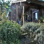 Semesterbostad Norwegisches Blockhaus Mit Gartensauna Bad Muenstereifel