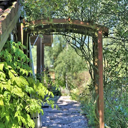 Norwegisches Blockhaus Mit Gartensauna باد مونستريفل