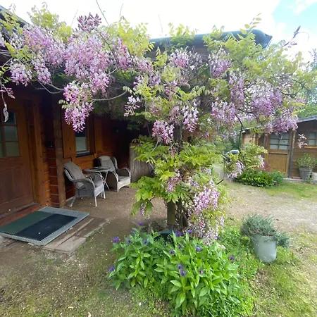 Norwegisches Blockhaus Mit Gartensauna Bad Muenstereifel